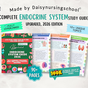 Endocrine System Nursing Study Guide: Disorders, UPGRADED, Hyperlinked 90+ Pages, 10+ Topics (Digital Download)