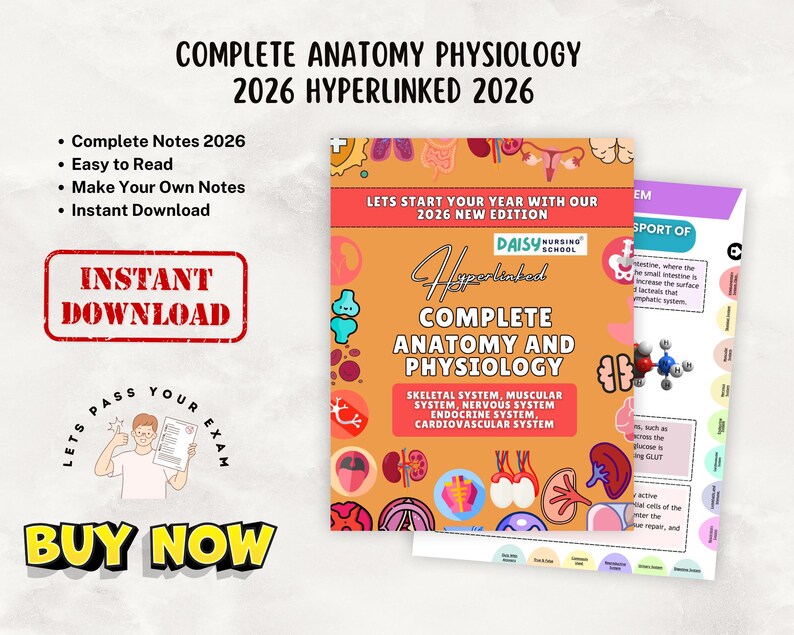 Anatomy & Physiology Study Guide, Upgraded, Hyperlinked Nursing Notes Bundle (Digital Download) image 12