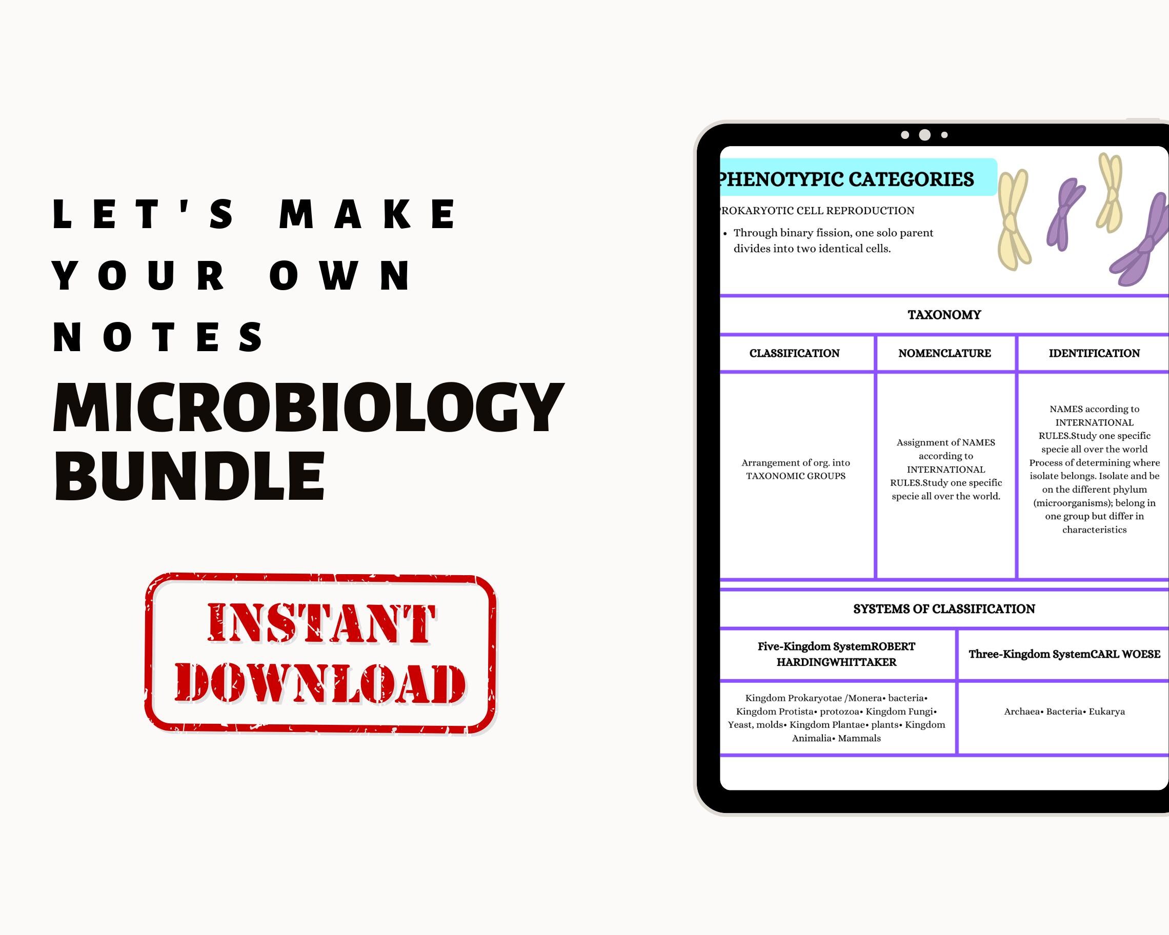 Guía de estudio de microbiología: Apuntes de medicina y enfermería,  tarjetas didácticas y cuestionario (PDF digital) - Etsy México