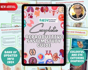 MED SURG: Reproductive System Nursing Notes, Reproductive System, Anatomy and Physiology, Reproductive System Notes Bundle, Nursing School