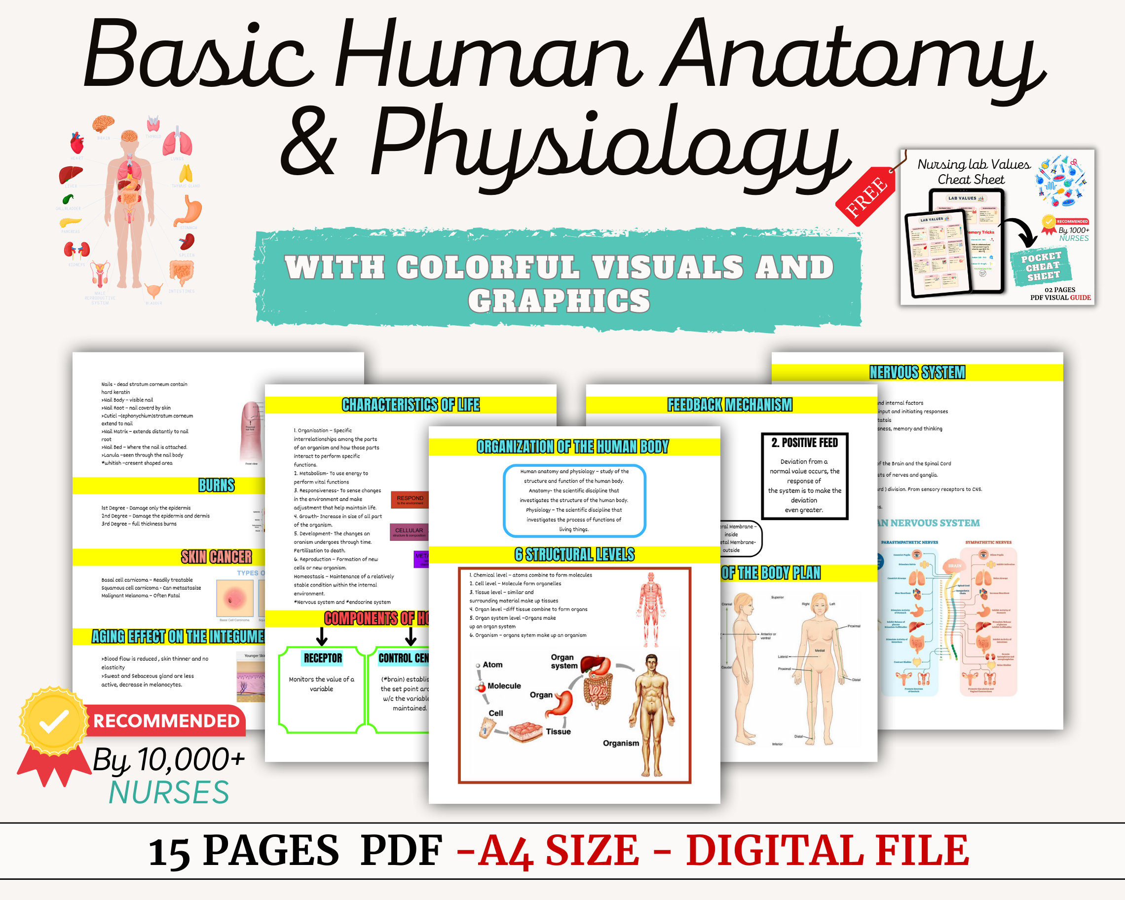 Advanced Nursing Concepts: The Ultimate Guide For Success - 11o0f3s