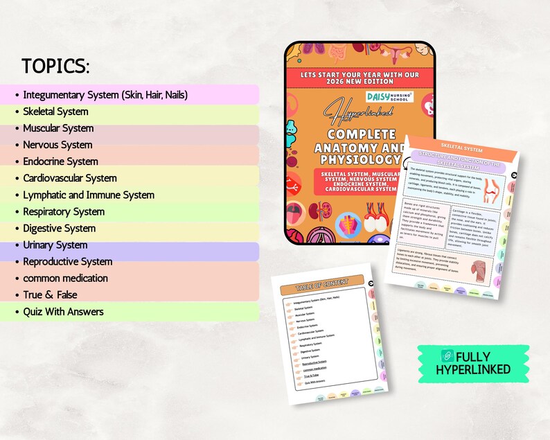 Anatomy & Physiology Study Guide, Upgraded, Hyperlinked Nursing Notes Bundle (Digital Download) image 2
