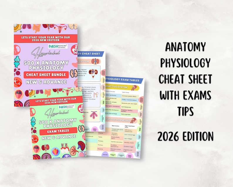 ALL_IN_ONE Anatomy & Physiology Study Guide + Cheat Sheet, 260+ Pages, 2026 Hyperlinked PDF - Etsy