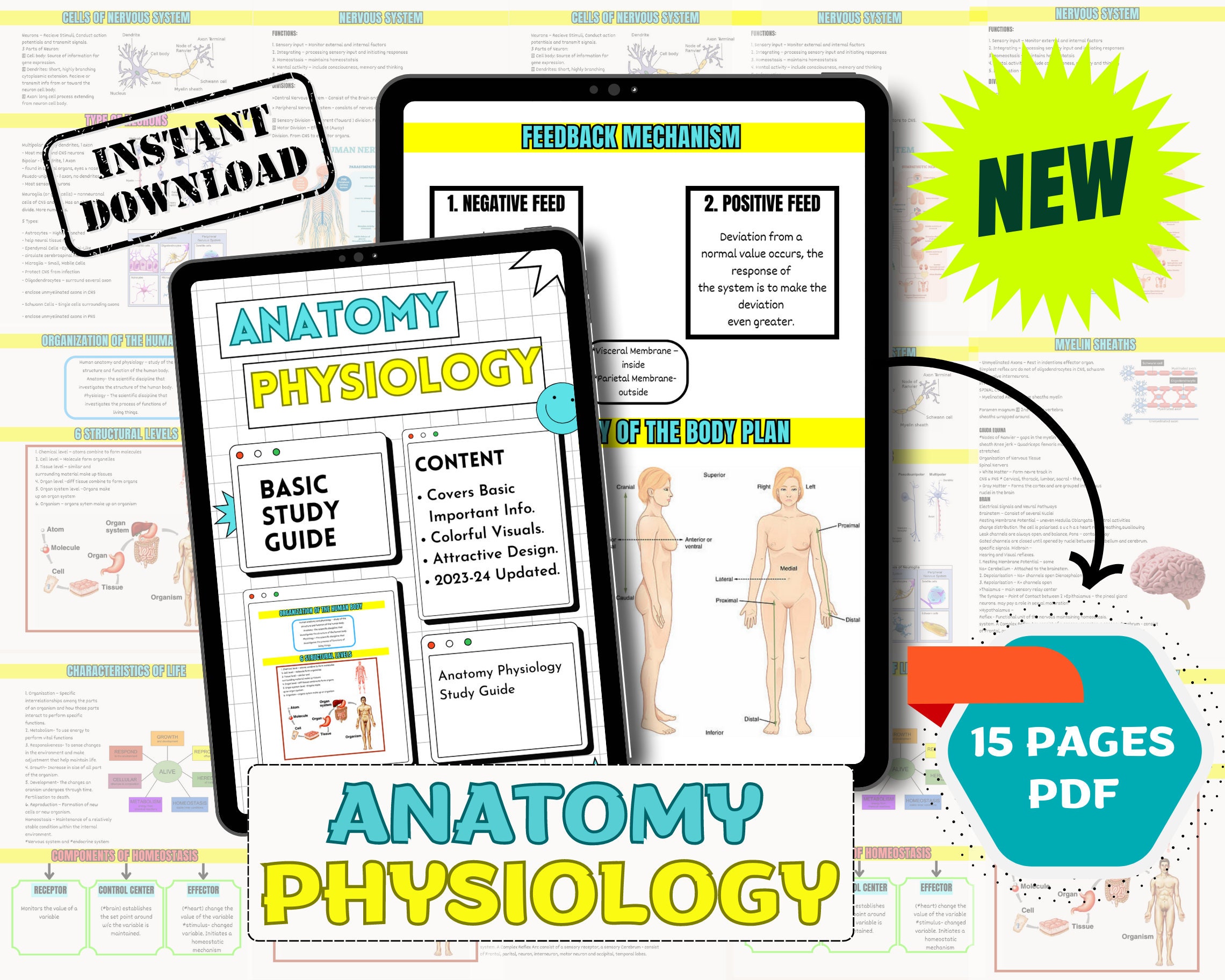 Master Your Heart: The Ultimate Anatomy Labeling Challenge - 93vxya1