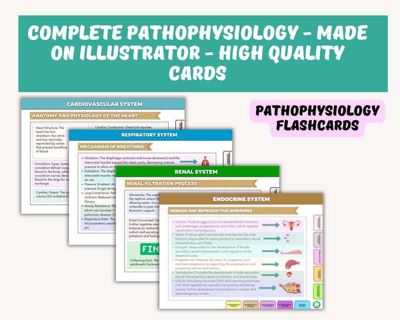 Pathophysiology Flashcards Nursing Notes, 100+ Colorful Hyperlinked ...
