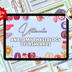 Anatomie en fysiologie Flashcards | Studiegids Anatomie | Verplegingsnotities | Anatomie Flashcards | Anatomie Verpleging | Aantekeningen fysiologie