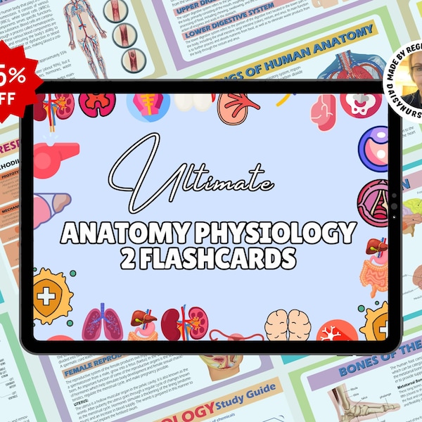 Anatomy Flashcards - Etsy