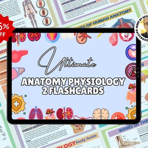 Anatomy & Physiology Flashcards: Human Body Study Guide (Digital Download)