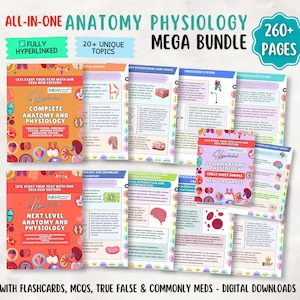 May include: A collection of digital anatomy and physiology study guides. The bundle includes flashcards, MCQs, and cheat sheets. The covers are orange, pink, and blue with detailed anatomical illustrations and text. The title reads "ALL-IN-ONE ANATOMY PHYSIOLOGY MEGA BUNDLE".