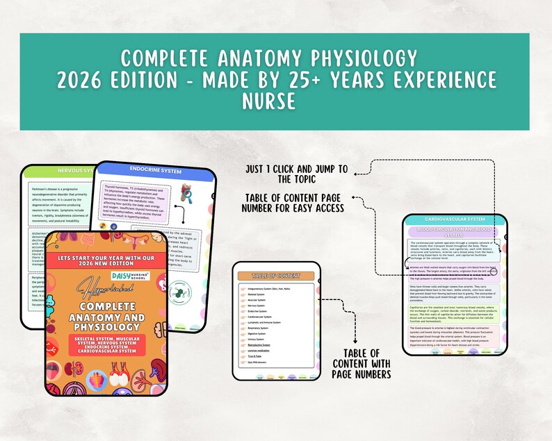Anatomy & Physiology Study Guide, Upgraded, Hyperlinked Nursing Notes Bundle (Digital Download) image 9