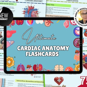 Flashcards sur l'anatomie cardiaque | Système cardiovasculaire | Anatomie du coeur | Notes d'allaitement | Notes cardiovasculaires | Guide d'étude La ressource pour les soins infirmiers