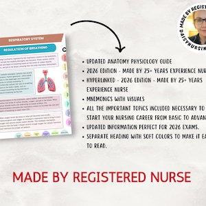 Anatomy & Physiology Study Guide, Upgraded, Hyperlinked Nursing Notes Bundle (Digital Download) image 7