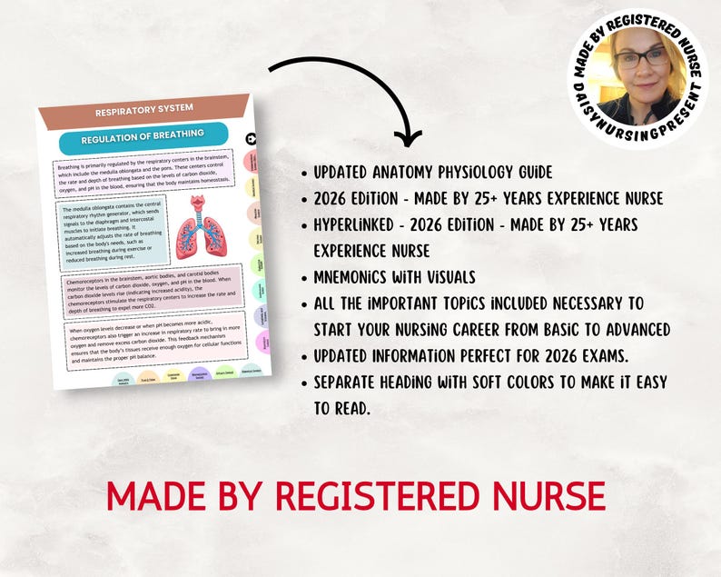 Anatomy & Physiology Study Guide, Upgraded, Hyperlinked Nursing Notes Bundle (Digital Download) image 7