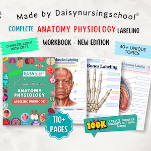May include: A comprehensive anatomy and physiology labeling workbook by Daisynursingschool. The cover is teal with colorful organ icons. Inside pages feature labeled diagrams of human muscles, bones, and heart anatomy with blank spaces for study.