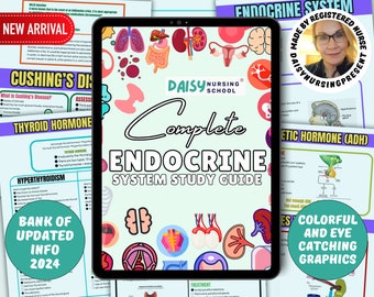 Endocrine System Nursing Study Guide, Endocrine Disorders, Endocrine Nursing, Endocrine Notes, Nursing School Notes, Nursing Bundle