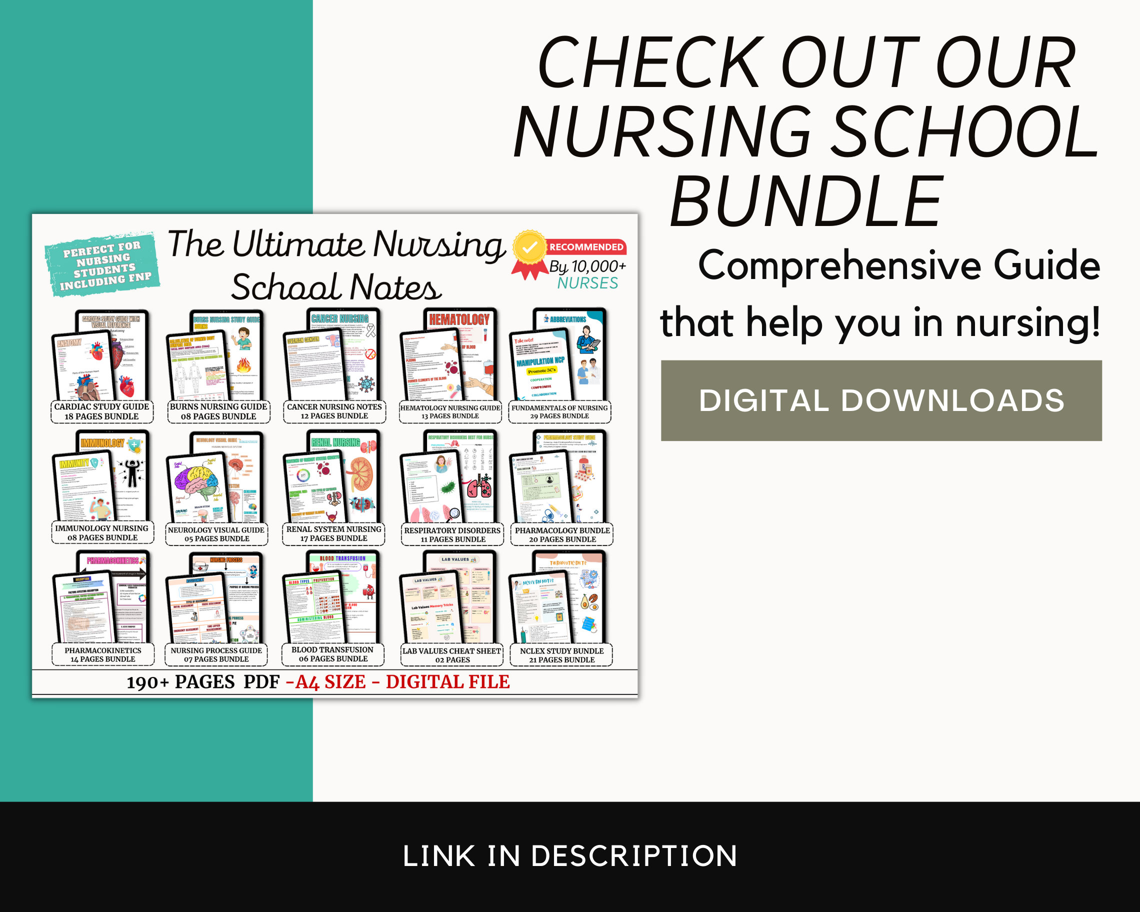 Endocrine System Nursing Study Guide Endocrine Disorders Endocrine