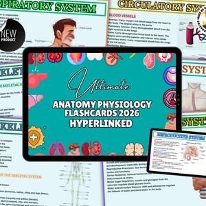 May include: A digital anatomy and physiology flashcard set for 2026, displayed on two tablets. The larger tablet shows the title "Ultimate Anatomy Physiology Flashcards 2026 Hyperlinked" with colorful illustrations. The smaller tablet displays a diagram of the reproductive system.