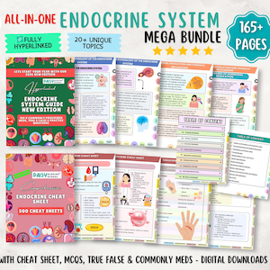 May include: A digital educational bundle titled All-In-One Endocrine System Mega Bundle with 165+ pages. It includes an Endocrine System Guide, cheat sheets, practice questions, and tables of content featuring colourful diagrams, medical illustrations, and text.
