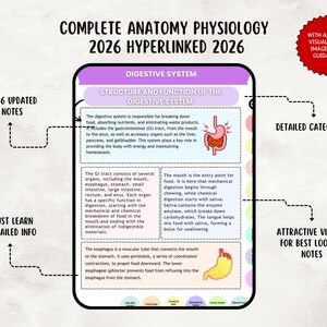 Anatomy & Physiology Study Guide, Upgraded, Hyperlinked Nursing Notes Bundle (Digital Download) image 3