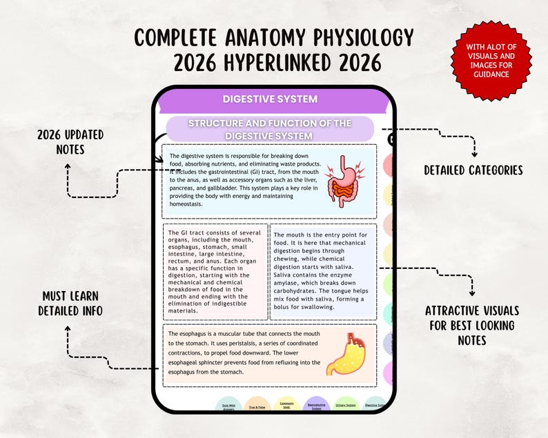 Anatomy & Physiology Study Guide, Upgraded, Hyperlinked Nursing Notes Bundle (Digital Download) image 3