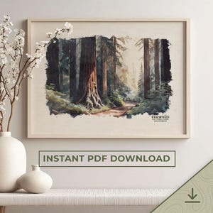 Redwood Nationalpark Poster, Druck Aquarell Wald, California Redwood Poster, National Forest Wandkunst | DRUCKBARE Digital Download