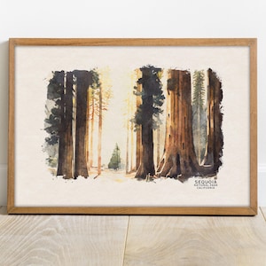 Sequoia National Park Poster, California Painting, National Park Prints, Redwood Travel Poster, National Park Art
