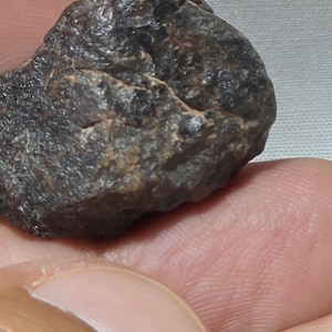 Meteorit