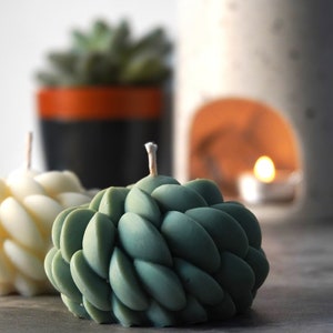 Swirl Succulent Candle | Soy Wax Cactus Candle | Sculpture Candle | Coffee Table Decorative Candle | Soy Wax | Scented Candle | Gift Idea