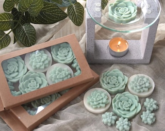 Succulent Soy Wax Melt, Natural Hand-poured Wax Melt