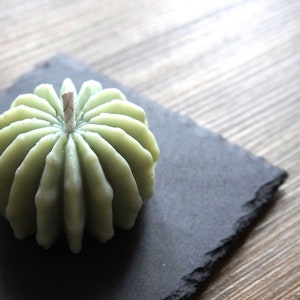 Balloon Cactus Candle | Candle for Plant Lovers | Home Décor Candle | 100% Natural Soy Wax | Handmade Scented Candle | Gift Idea