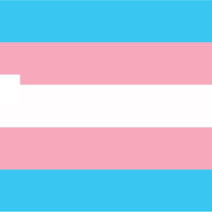 Drapeau de la fierté trans - Apparence de carte de crédit LGBTQ
