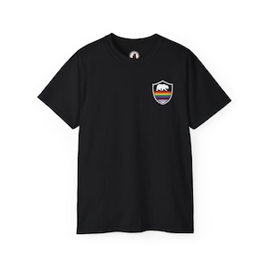 Gay Progressive Pride Badge with bear! LGBTQIA, LGBTQ shirt, Queer shirt, gay bear clothing, gay bear pride, say gay