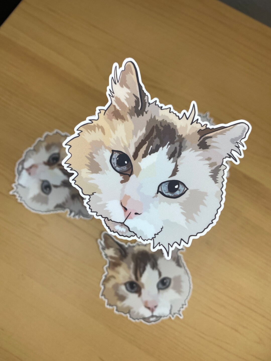 Custom Cat Sticker - Etsy