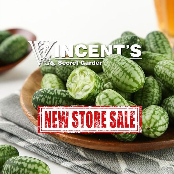 Cucamelon Seeds /Pepquinos /Finger watermelon / Cucumber melon