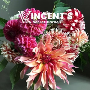 May include: A bouquet of pink, white and red dahlias with the text "Vincent's Secret Garden" in white lettering.