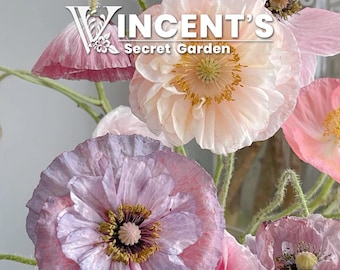 Poppy Shirley Seeds Mix | 50-1000 seeds