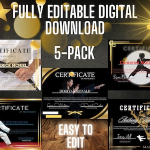 Martial Arts Certificate, Editable Martial Arts Award, Martial Arts Trophy, Karate, Taekwondo, MMA, Judo, Jui Jitsu, Martial Arts Belt,