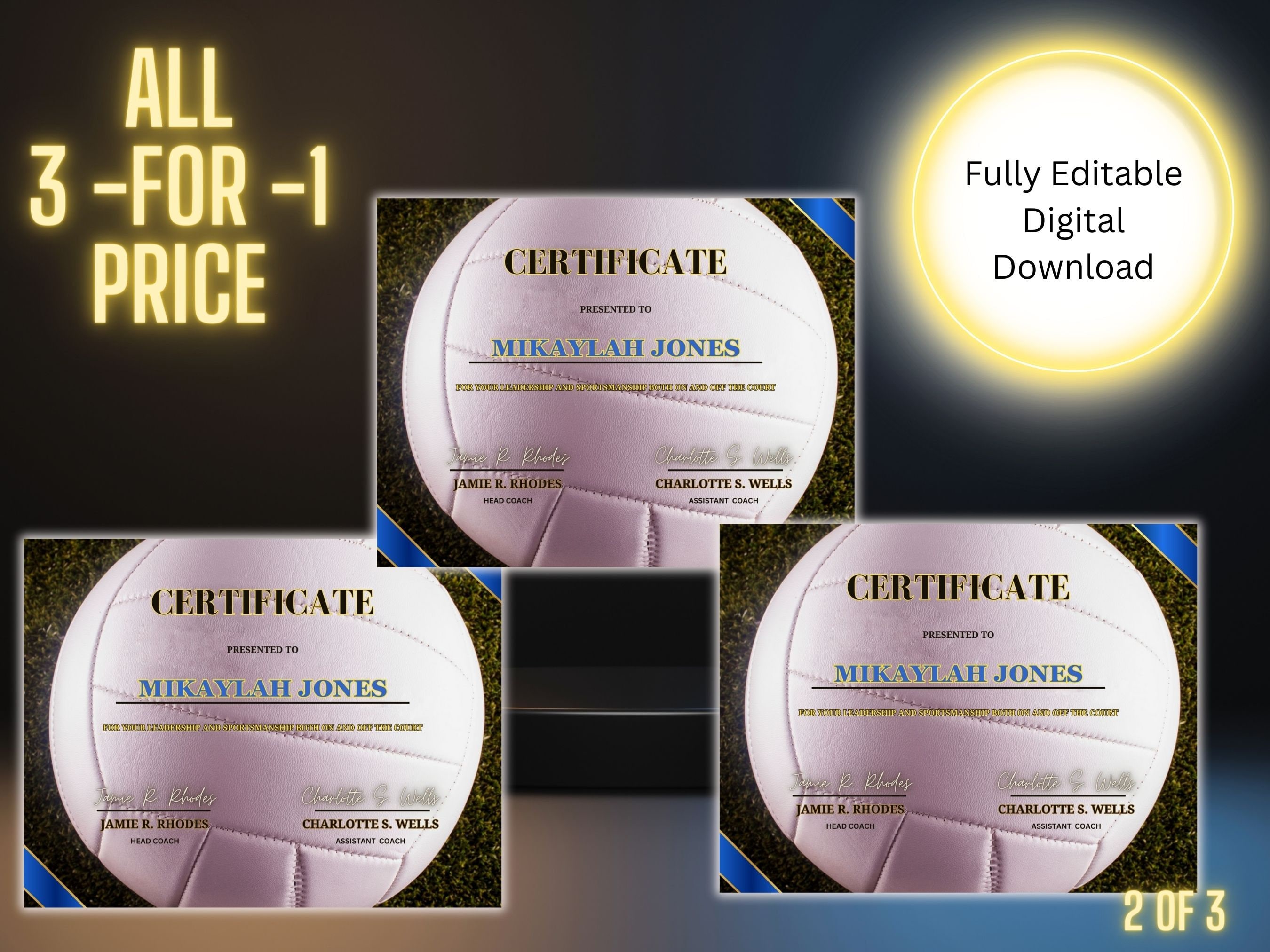 Award, Certificates, Editable Volleyball Award, Editable- You Type, DIY ...