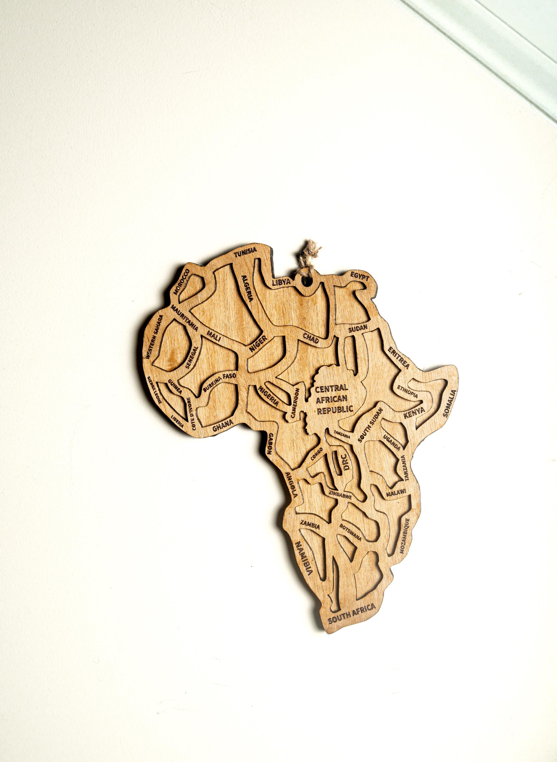 Africa Premium Matte Paper WOOD Framed Art