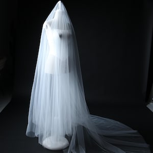 long cathedral veil flowing soft tulle.