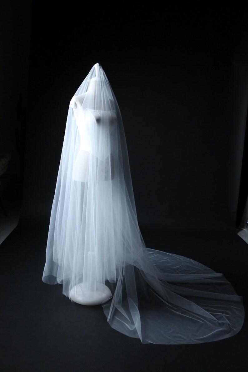 long cathedral veil flowing soft tulle.