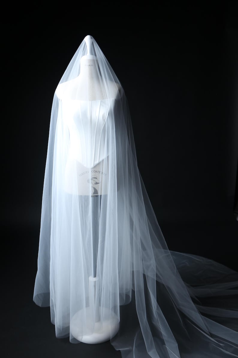 two tier veil raw edge elegant silhouette
