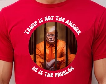 Two Sided, ANTI TRUMP T-shirt, Lock Him Up, Anti Donald Trump Shirt, Witch Hunt, Dump Trump, Never Trump, Trump Sucks, Trump in Jail
