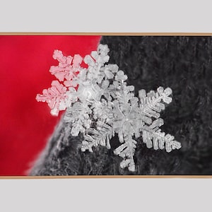 Samsung Frame TV Art, Winter Snowflakes, Instant Download, TV Frame Art, Real Snowflakes, Winter Art, Cabin Art, Nature Art