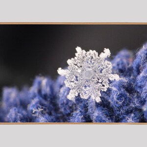 Samsung Frame TV Art, Winter Snowflake, Instant Download, TV Frame Art, Real Snowflake, Winter Art, Cabin Art, Nature Art