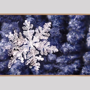 Samsung Frame TV Art, Winter Snowflake, Instant Download, TV Frame Art, Real Snowflake, Winter Art, Cabin Art, Nature Art
