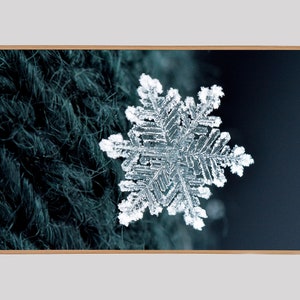 Winter Snowflake Photo for Samsung Frame TV: Cabin Nature Art (Instant Download)