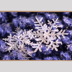 Winter Snowflakes Samsung Frame TV Art: Macro Photography (Digital Download)