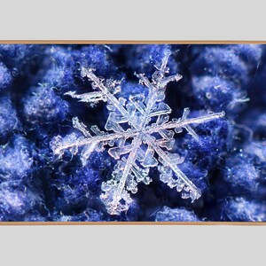Samsung Frame TV Art, Winter Snowflake, Instant Download, TV Frame Art, Real Snowflake, Winter Art, Cabin Art, Nature Art, Snowflakes