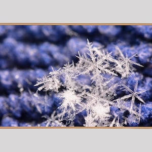 Samsung Frame TV Art, Snowflakes, Instant Download, TV Frame Art, Real Snowflakes, Winter Art, Cabin Art, Nature Art, Snowflakes, Macro Art